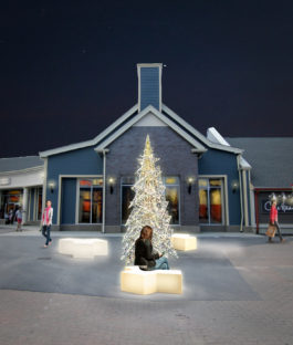 Woodbury 3d Rendering