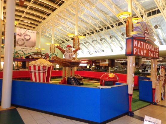 Dulles Washington Nationals Playarea