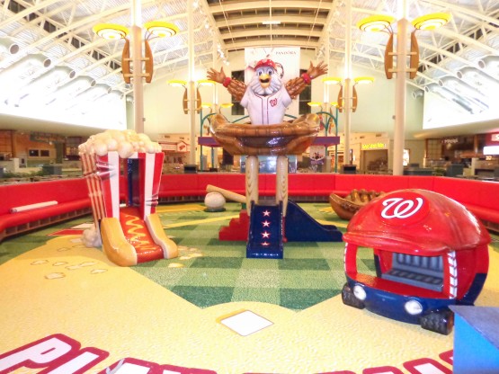 Dulles Washington Nationals Playarea
